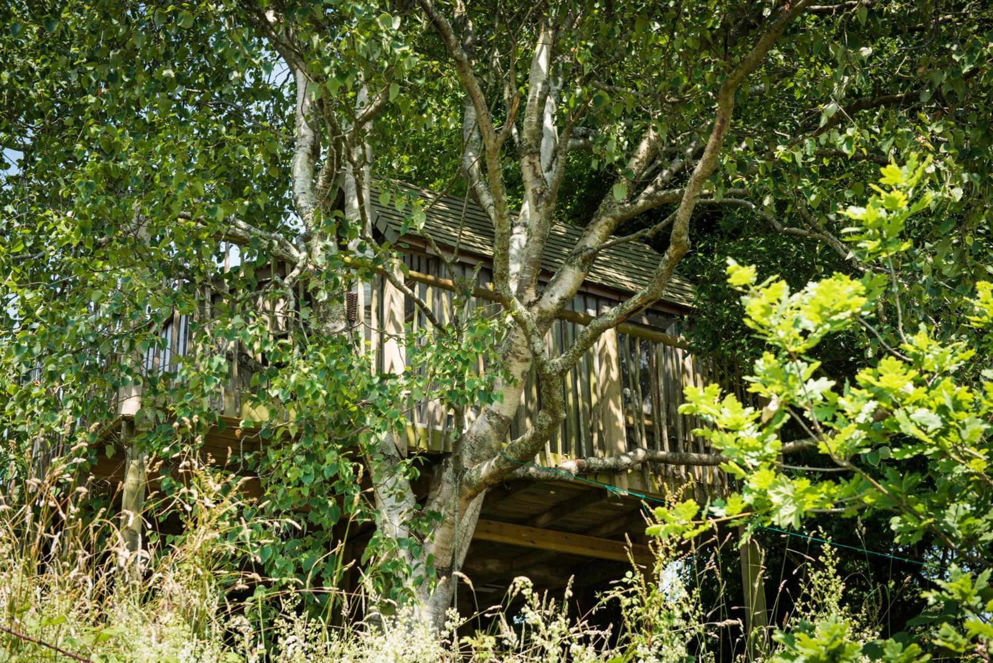 Villa The Treehouse At Salcombe Farm Exterior foto